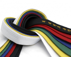 about_taekwondo